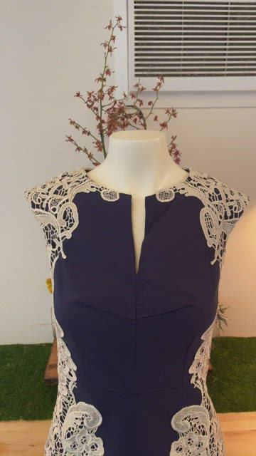 NWT paper doll navy dress with lace detail. Very flattering