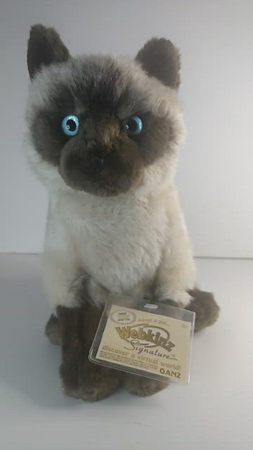 Webkinz siamese online cat