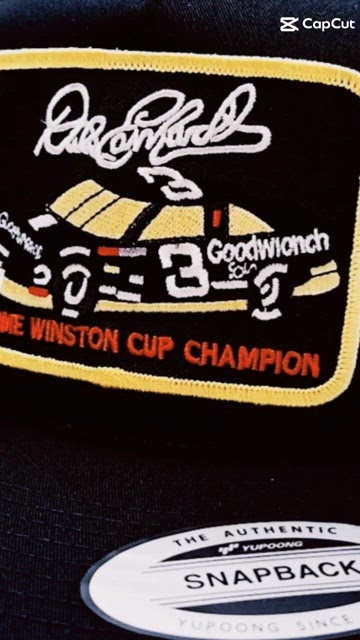 Dale Earnhardt #3 Embroidered Patch Flat Bill Mesh Snapback Cap Hat NASCAR Race Dale Earnhardt Wrangler Racing Retro-style Trucker on an a  main image 2