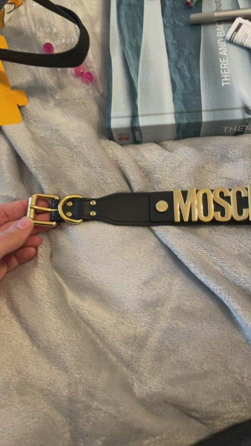 Moschino dog collar & lead!! Highly sought after