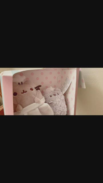 GUND Pusheen & Stormy Baking Set 8.5 Plush Stuffed Animal Toy Set Sealed  Box