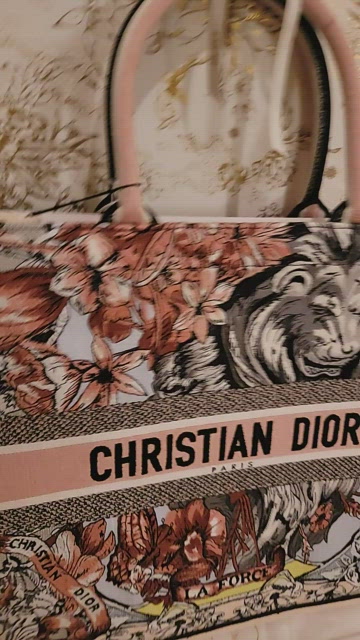 CHRISTIAN DIOR BOOK TOTE LIMITED EDITION, EMBROIDERED LA FORCE BAG, Large  Size