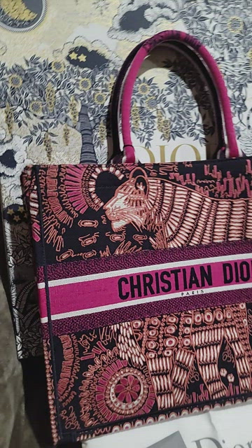 Dior Large Indian Animals Embroidery Book Tote