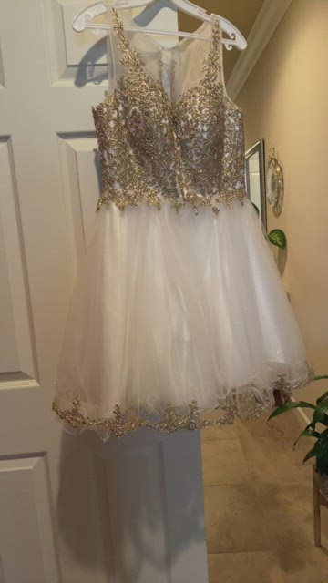 White and gold damas dress I have 2 and in a size large