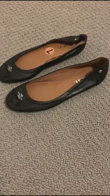 Coach Chelsea Leather Ballet Flats