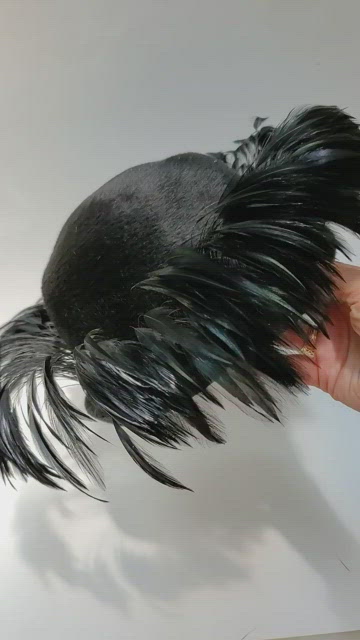 Italian Michael Terre Hat | Accessories | Brigitte Redg Body  display picture 2