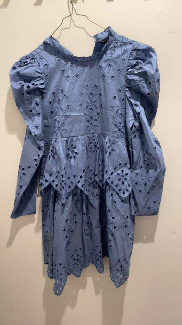 [Zara] NWT Blogger Fav Blue Embroidered Eyelet Dress