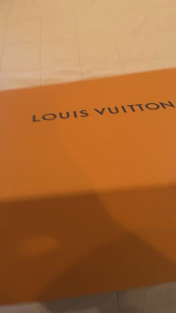 Authentic LOUIS VUITTON LV Pillow on the Go GM M59007 Bag #260-004-239-5461