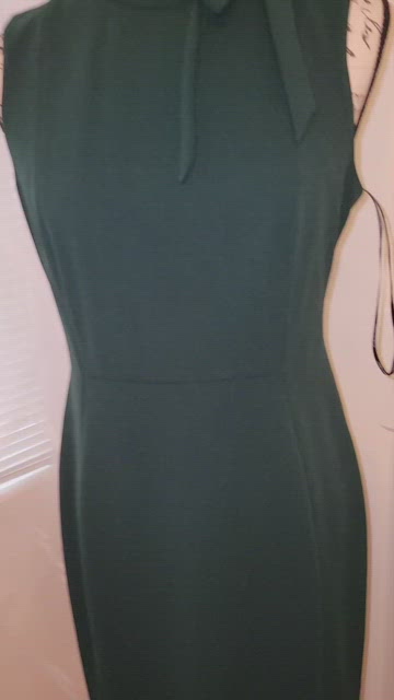 green emerald velvet dress Calvin Klein Green Dress With Back Zipper