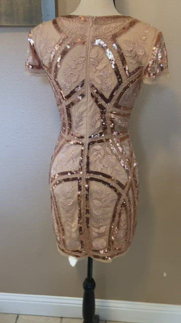 NWOT Lulus Spread Your Shine Rose Gold Sequin Embroidered Bodycon Dress