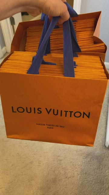 Louis Vuitton, Bags, Louis Vuitton Shopping Bags Lot Bundle Purse Gift 5  Set Bag Recycling