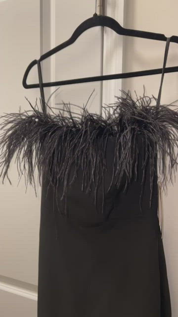Portia & Scarlett SIZE 2 black feather evening gown. NWT