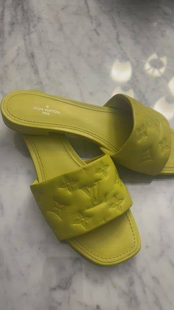 Louis Vuitton Flat Mule Sandals For Mentor