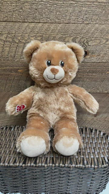 Build-A-Bear, Toys, Buildabear Workshop Lil Cub Brownie 5 Plush Plays  Song Up On The Housetop