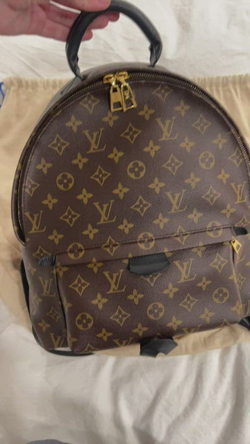 Louis Vuitton Palm Springs Backpack Backpack 359297