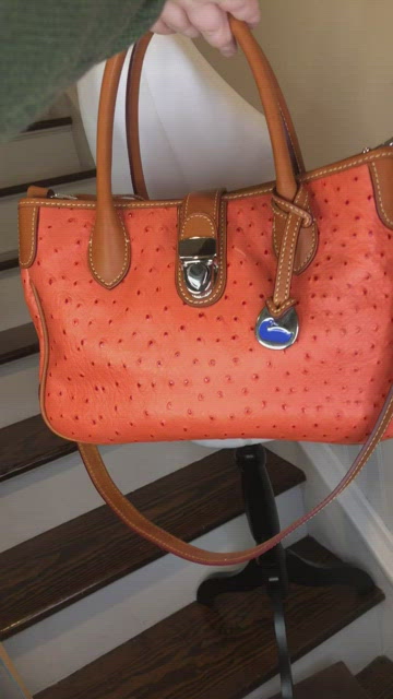 Dooney & Bourke, Bags, Dooney Bourke Orange Ostrich Leather Crossbody  Shoulder Bag Design Nwot