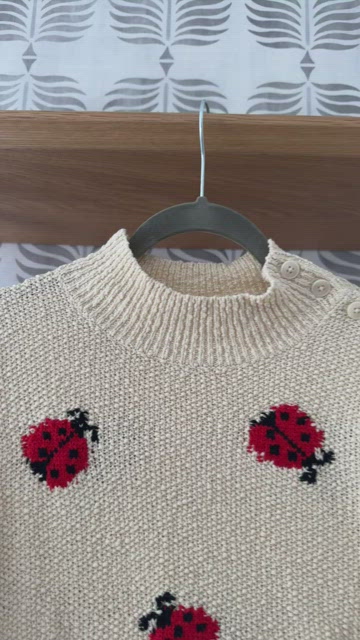 Zara ladybug clearance sweater