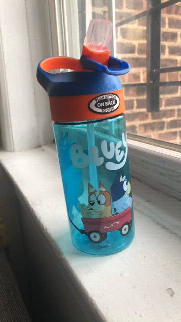 Bluey 17.5oz Plastic Kids Water Bottle - Zak Designs 17.5 oz