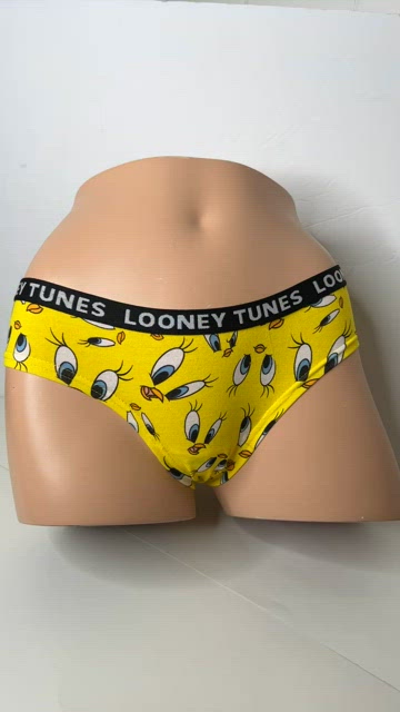 WARNER BROS Girls' Looney Tunes Underwear India