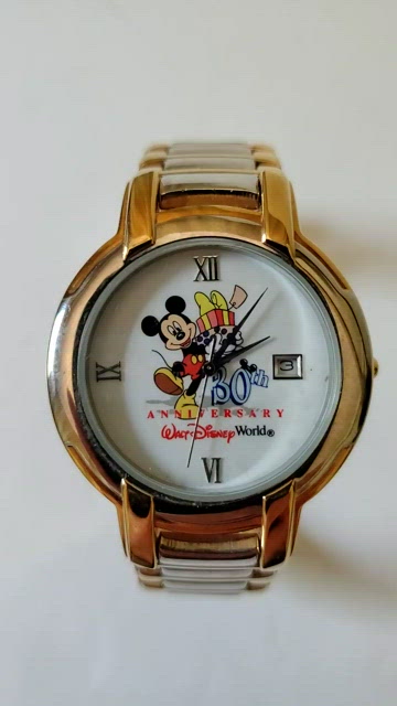 Disney | Accessories | Walt Disney World 3th Anniversary  display picture 3