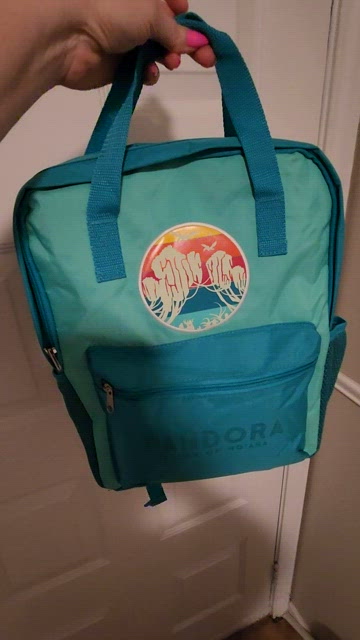 Disney | Bags | Disney World Of Pandora Backpack 5 X 11 X 5 