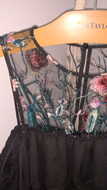 H&M Embroidered Mesh Dress Size 6