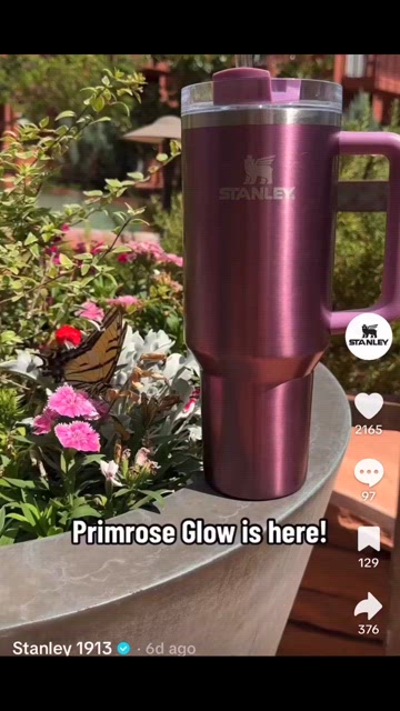 THE BUY GUIDE on Instagram: Meet Primrose Glow. This stunning, shiny  addition to our Stanley collection is just the pop of fun we needed. All  comments will get a link ✨