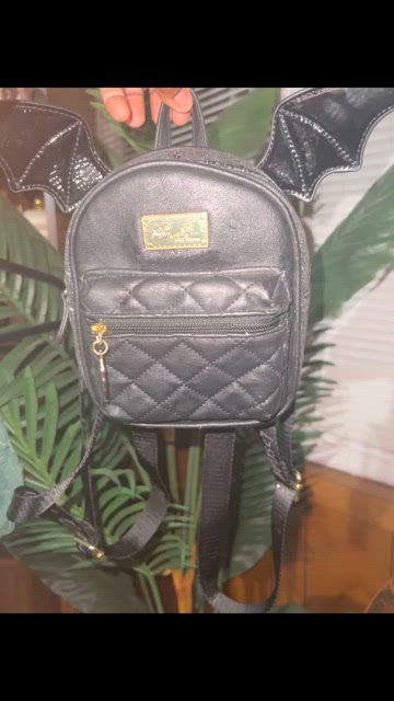 north face backpack 55l Terra 55 Backpack