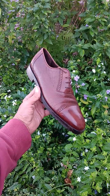 BRAGANO BY COLE HAAN | Shoes | Cole Haan Bragano Mens  display picture 1