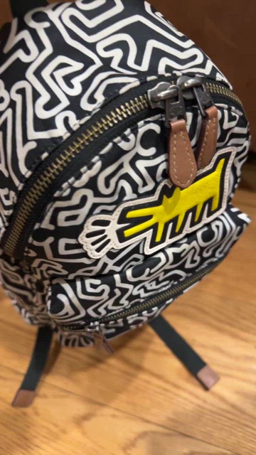 Coach Keith Haring | Bags | Rare Coach X Keith Haring  display picture 1