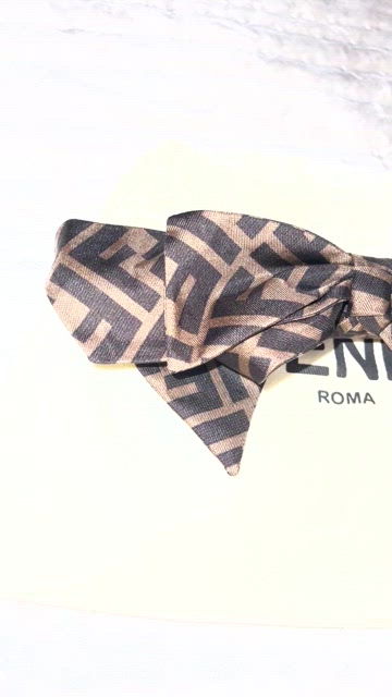 Fendi | Accessories | Preloved Fendi Zucca Barrette Ribbon 