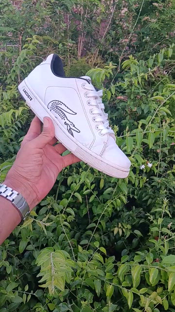 Lacoste | Shoes | Lacoste Mens White Carnaby Big Croc  display picture 3