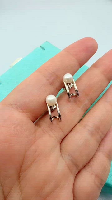 Tiffany & Co. | Jewelry | Tiffany Co 925 Silver Hardwear