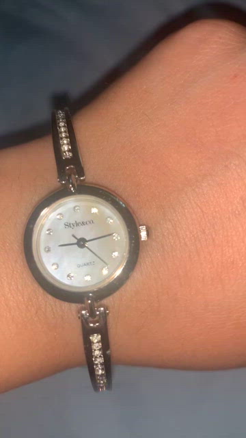 Style & Co. | Accessories | Vintage Styleco Stainless Steel  display picture 2