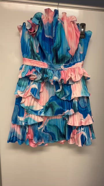 Amur Women's Jayda Pleated Shell Dress