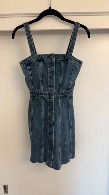 Wilfred (Aritzia) Denim Mini Dress – Button Front