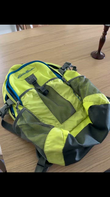 Eddie Bauer | Bags | Eddie Bauer Lime Green Backpack With 